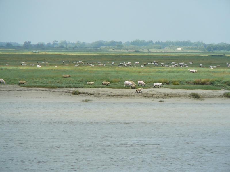 Promenade le long de la baie  Saint-Valry-sur-Somme